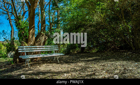 Weiße Bank unter den Bäumen. Leeren weißen Holzbank aus dem Haus Garten. Konzept der Ort zum Entspannen. Stockfoto