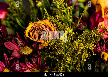 Eine Nahaufnahme von einem schönen Welken Fallen farbigen Blumenstrauß gedämpften Braun, Orangen und Grünen Trocknen sind vivd und Emotionen wecken. Stockfoto