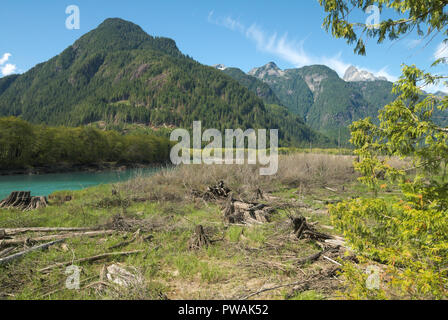 Eine Wiese am Fluss am nördlichen Ende des Stave Lake in Mission, British Columbia, Kanada Stockfoto