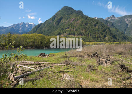 Eine Wiese am Fluss am nördlichen Ende des Stave Lake in Mission, British Columbia, Kanada Stockfoto