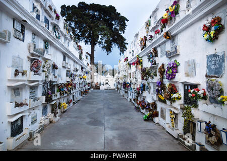 Wände der Gräber mit Baum am Ende der San Lazaro Friedhof, Antigua, Guatemala Stockfoto