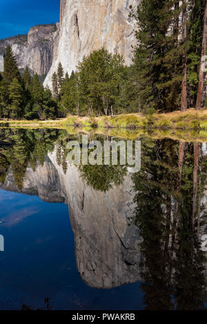 Die beeindruckenden Felsformationen des El Capitan in einem Pool von Wasser im Yosemite Valley, Yosemite National Park, Kalifornien, USA widerspiegelt
