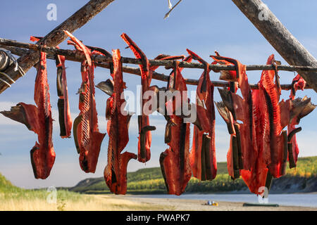 Yukon, Alaska. Lachs Stacheln trocknen auf einen Fisch Rack mit Porcupine River im Hintergrund. Stockfoto