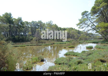 Die Lagune bei divjake Nationalpark Albanien Stockfoto