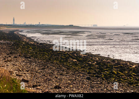 Blick nach Süden entlang der Westseite von Punkt verschmähen an einem trüben Nachmittag Holderness, East Yorkshire, England. 10. Mai 2008. Stockfoto