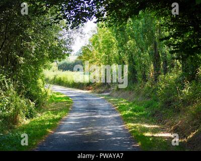 Entlang einer französischen country lane unter einem Tunnel der Bäume an einem sonnigen Tag Stockfoto