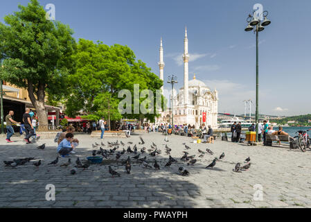 Eine Mutter und Kind füttern Tauben mit dem barocken Stil der Ortaköy Moschee und den Bosporus im Hintergrund, Istanbul, Türkei Stockfoto