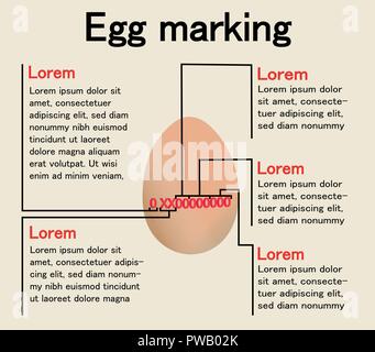 Ei Kennzeichnung, Aufmachung oder Infografik über die Bedeutung des roten Code der Eier. Vorschriften über die Herstellung und Herkunft von Lebensmitteln. Stock Vektor