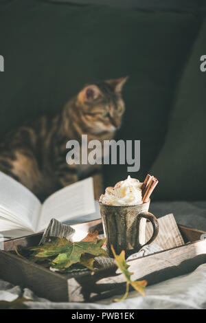 Herbst oder Winter heiße Schokolade oder Kaffee mit Schlagsahne und Zimt im rustikalen Becher in Fach- und Cat hinter, dunkle Wand im Hintergrund. Herbst Erwärmung s Stockfoto