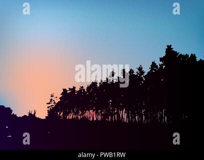Wald Bäume Silhouette am Sonnenuntergang vektor Vorlage. Kiefern Silhouette als Hintergrund für Ihr Design. Stock Vektor