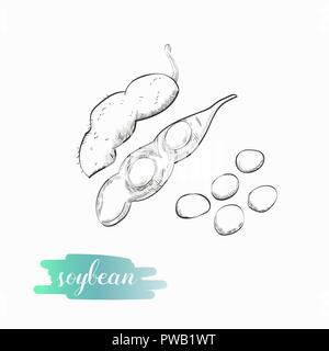 Soja pod Skizze Vector Illustration. Soja handgezeichnete Abbildung auf weißem Hintergrund. Stock Vektor