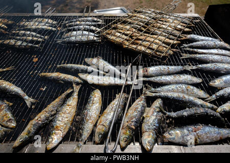 Gegrillte Sardinen Stockfoto