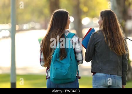 Zurück Blick auf zwei Glückliche Schüler gehen und Sprechen in einem Campus der Universität Stockfoto