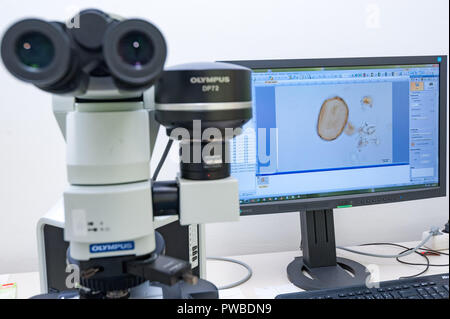 Wien, Österreich. 12 Okt, 2018. Ein Mikroskop und der weltweit größte pollen Datenbank ' paldat.org', im Labor des Instituts für Botanik der Universität erfasst. (Dpa' die Pollen Profiler - mit Pollen auf Kriminelle Jagd" vom 15.10.2018) Credit: Jan Gott/dpa/Alamy leben Nachrichten Stockfoto