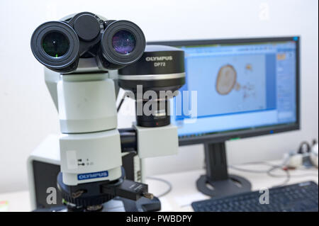 Wien, Österreich. 12 Okt, 2018. Ein Mikroskop und der weltweit größte pollen Datenbank ' paldat.org', im Labor des Instituts für Botanik der Universität erfasst. (Dpa' Die pollen Profiler - mit Pollen auf einem manhunt 'Credit): Jan Gott/dpa/Alamy leben Nachrichten Stockfoto