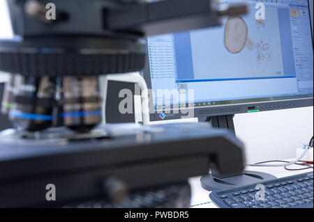 Wien, Österreich. 12 Okt, 2018. Ein Mikroskop und der weltweit größte pollen Datenbank ' paldat.org', im Labor des Instituts für Botanik der Universität erfasst. (Dpa' Die pollen Profiler - mit Pollen auf einem manhunt 'Credit): Jan Gott/dpa/Alamy leben Nachrichten Stockfoto