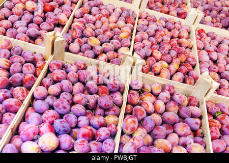 Frische Pflaumen Früchte in Holzkisten für den Verkauf am Markt, natürliche Lebensmittel Hintergrund, Blick diagonal Stockfoto