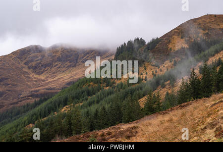 Aussichtspunkt an Ratagan Wald über Loch Duich und die umliegende Hochland Berge, Loch Duich, West Highlands, Schottland, Großbritannien Stockfoto