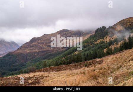 Aussichtspunkt an Ratagan Wald über Loch Duich und die umliegende Hochland Berge, Loch Duich, West Highlands, Schottland, Großbritannien Stockfoto