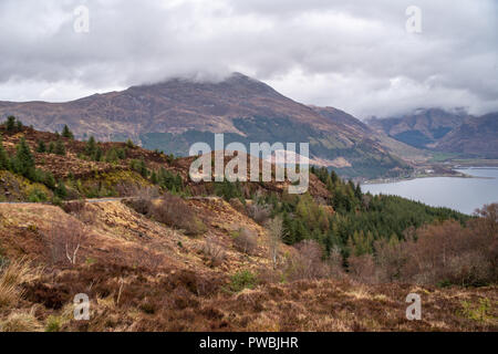 Aussichtspunkt an Ratagan Wald über Loch Duich und die umliegende Hochland Berge, Loch Duich, West Highlands, Schottland, Großbritannien Stockfoto