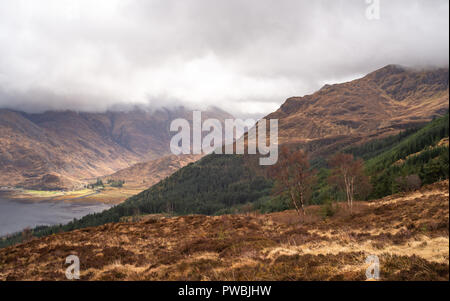 Aussichtspunkt an Ratagan Wald über Loch Duich und die umliegende Hochland Berge, Loch Duich, West Highlands, Schottland, Großbritannien Stockfoto