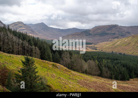 Aussichtspunkt an Ratagan Wald über Loch Duich und die umliegende Hochland Berge, Loch Duich, West Highlands, Schottland, Großbritannien Stockfoto