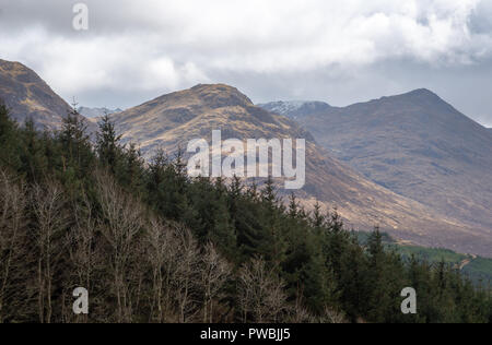 Aussichtspunkt an Ratagan Wald über Loch Duich und die umliegende Hochland Berge, Loch Duich, West Highlands, Schottland, Großbritannien Stockfoto