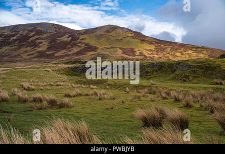 Grünland und Highland Mountain am Loch Slapin, West Highlands, Isle of Skye, Schottland, Großbritannien Stockfoto
