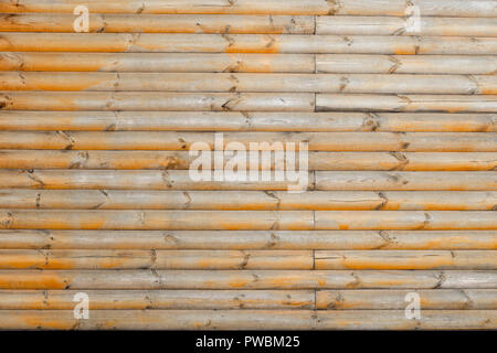 Licht und gelb Holz horizontalen Bretter wallpaper Stockfoto
