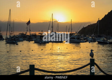 Sonnenaufgang über Meer Hafen voller Boote mit amerikanischer Flagge und Möwe auf Post im Vordergrund Stockfoto