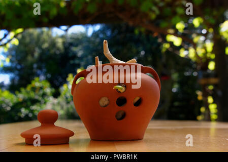 Knoblauch Storage Stockfoto