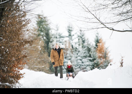 Senior Großvater und einem kleinen Mädchen, das Rodeln. Ein Großvater ziehen ein kleines Mädchen auf einem Schlitten an einem Wintertag. Stockfoto