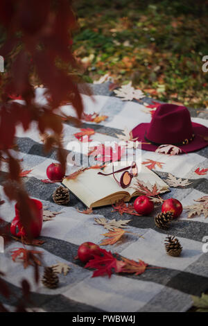 Herbst warme Tage. Indian Summer. Picknick im Garten - Decke und Kissen von Grau, Burgund und Grün Farbe auf dem Hintergrund der Blätter im Herbst. Sele Stockfoto