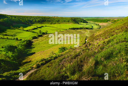 Bohrung des Horcum in die North York Moors mit Blick auf Ackerland, Moor, und Vegetation auf einer feinen Frühjahr/Sommer morgen, Goathland, Yorkshire, Großbritannien. Stockfoto