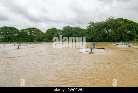 Wasseraufbereitung Turbine machine BOD im Wasser in Kläranlagen zu verringern. Umweltkonzept Stockfoto