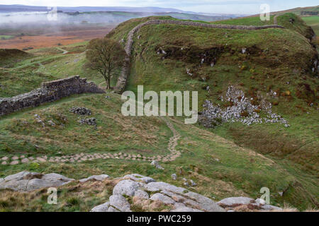 Hadrian's Wall Schlangen ist es vorbei, Sycamore Gap Stockfoto