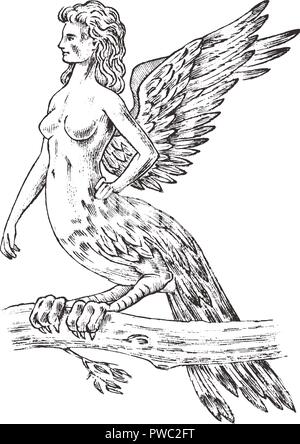 Antike Harpy. Frau Vogel Adler. Mythische griechische Monster. Mythologisches Tier. Fantastische Kreaturen in der alten Vintage Style. Graviert Hand gezeichnet alte Skizze. Stock Vektor