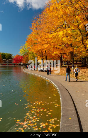 Montreal, Kanada - 14. Oktober 2018: Beaver Lake an der Spitze der Mont-Royal, wie Laub platzt mit Farben des Herbstes. Stockfoto