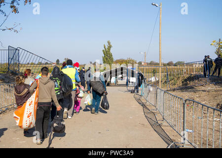 BERKASOVO, Serbien - 31. OKTOBER 2015: Flüchtlinge auf dem Weg zur kroatischen Grenzübergang Kroatien Serbien Grenze, zwischen den Städten Bapsk Stockfoto