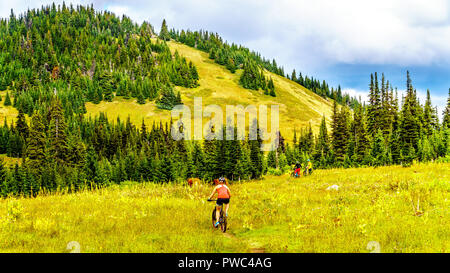 Mountainbike durch die alpinen Wiesen im Herbst Farben auf Tod Berg in der Nähe des Dorfes Sun Peaks in der Shuswap Hochland von British Columbia Stockfoto