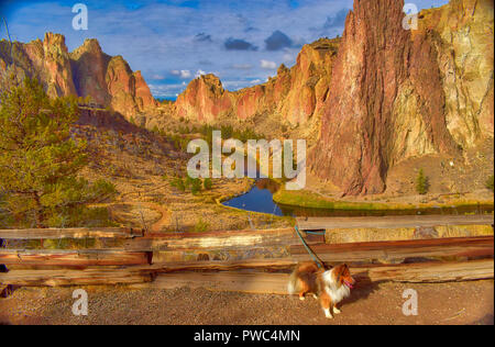 Wanderungen mit meinem Hund bei Smith Rock State Park in Oregon Stockfoto