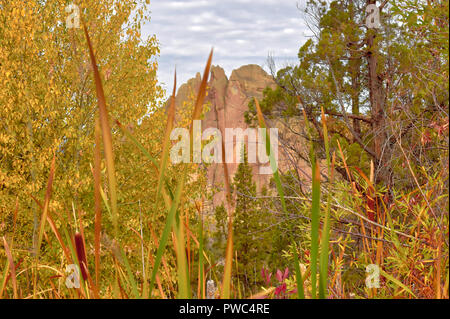 Wanderungen mit meinem Hund bei Smith Rock State Park in Oregon Stockfoto