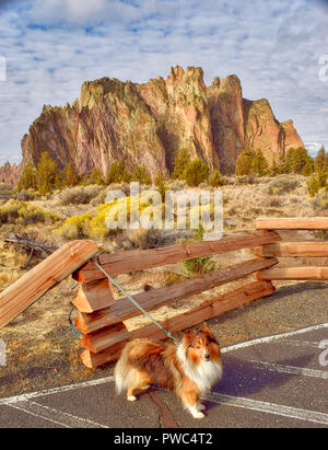 Wanderungen mit meinem Hund bei Smith Rock State Park in Oregon Stockfoto