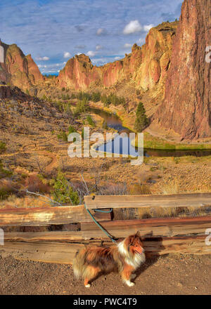 Wanderungen mit meinem Hund bei Smith Rock State Park in Oregon Stockfoto