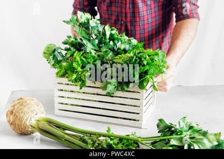 Bauer mit frisch Kräuter in der Holzkiste auf weißer Tisch. Ernte Konzept Stockfoto