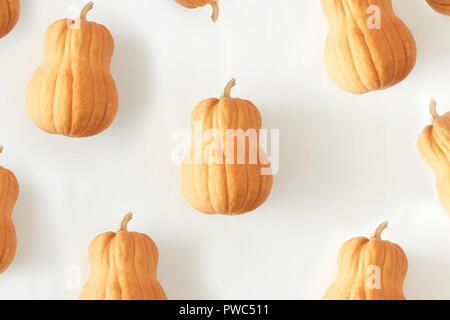 Flach Kürbisse auf weißem Hintergrund. Herbst Herbst minimalen Begriff Ansicht von oben Stockfoto