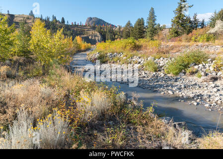 Bach durch Tal mit Herbst Bäume und Blumen Stockfoto