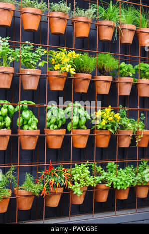 Vertikale Kräutergarten aus einzelnen Terracotta Töpfen auf einem Zaun in einem ruhigen Innenhof als Teil der Landschaft Design, Australien Stockfoto