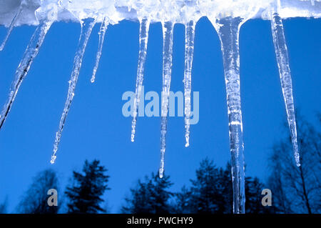 Eiszapfen an der Dachrinne, mit Bäumen und blauen Himmel im Hintergrund Stockfoto