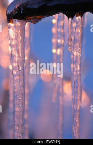 Die Arktische Sonne leuchtet die Eiszapfen Stockfoto